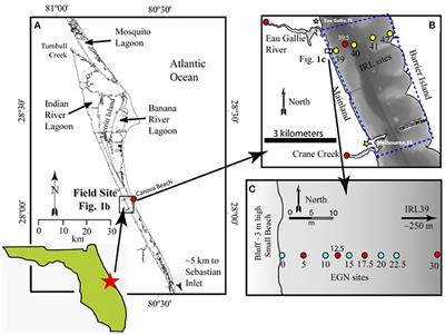 Neodymium Isotope Geochemistry of a Subterranean Estuary